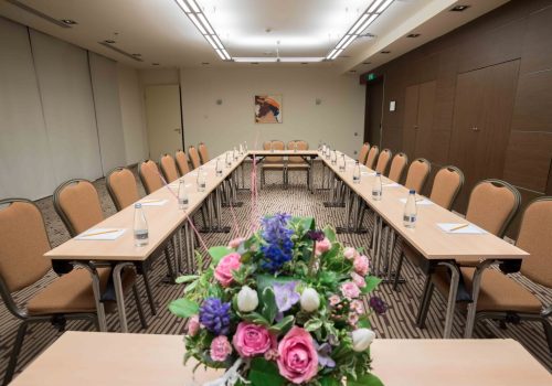 sala-betta-ramada-sibiu-1